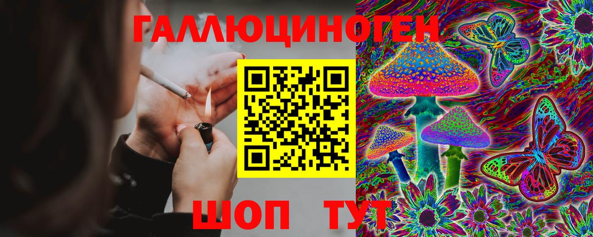 Омск  Псилоцибиновые грибы Psilocybine cubensis  Вход с VPN 