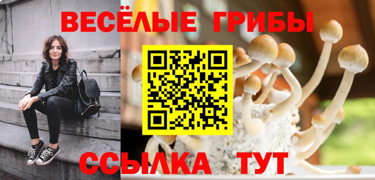 Псилоцибиновые грибы Psilocybe Омск